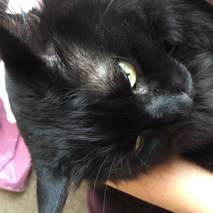 40876417 0f0b 4712 b5e2 6dbaafdee154