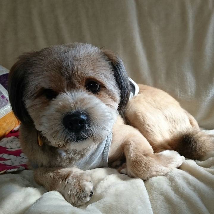 4087a19a 183c 4a6f 9354 de723a1d054d