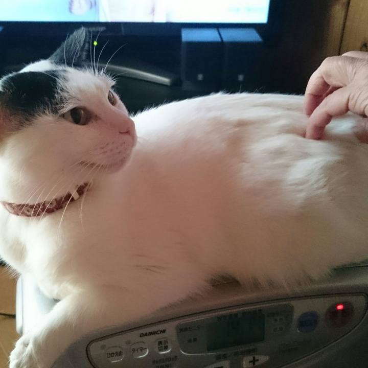 40887e7e 573e 429d b28e b67786d22da1