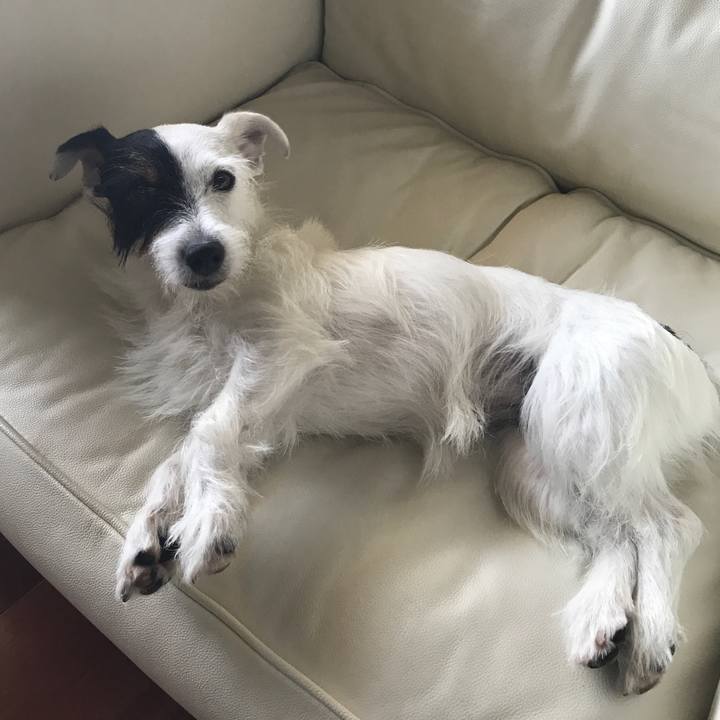 40891662 77ce 4577 9509 c55d3091d27c