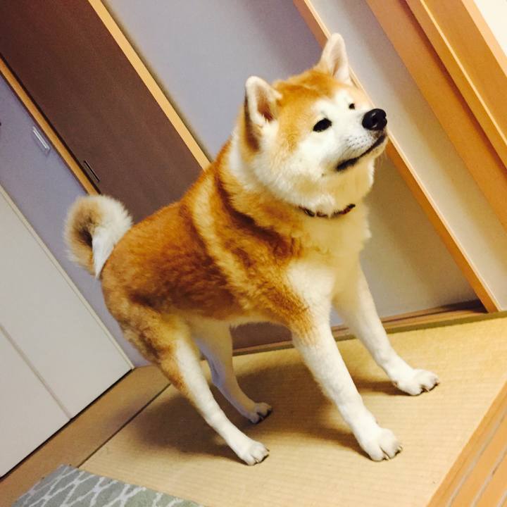 40893fad 479f 42d9 acd7 2d3ef7aa92c5