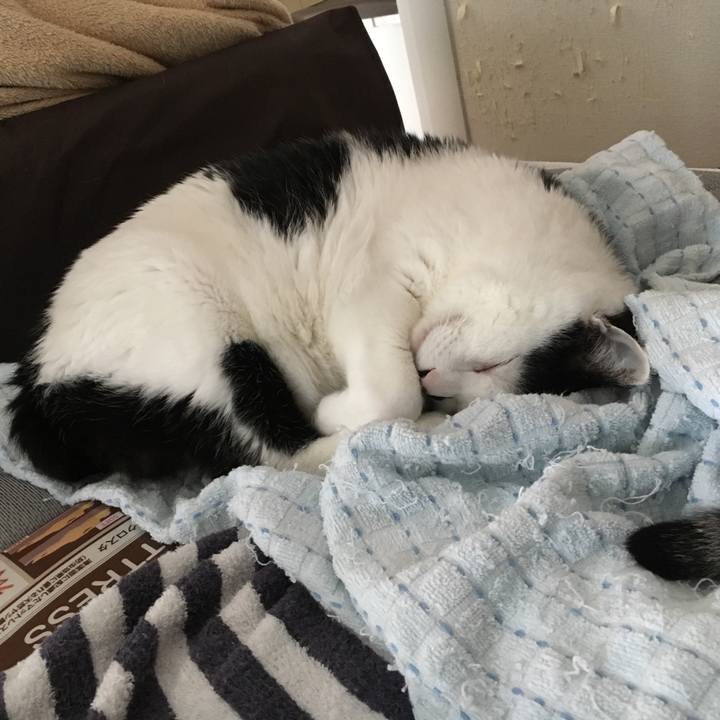 4089750a 3c7e 4079 9b15 ed6cfcde6440