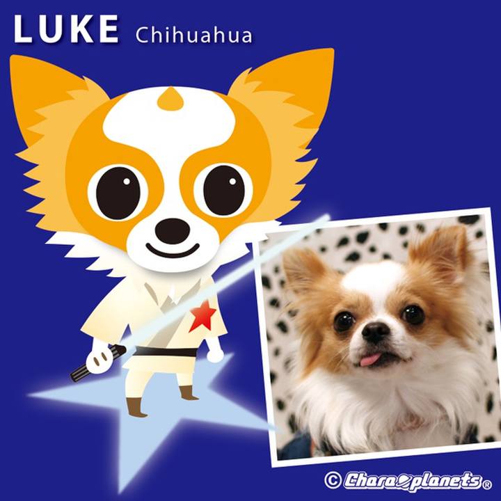 408acd96 4149 4a31 a798 ab014c7ebab2