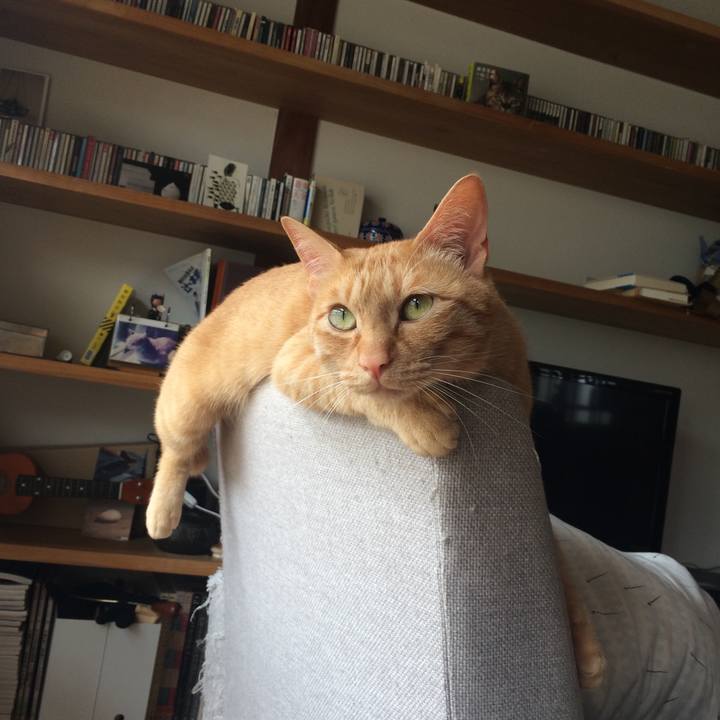 408acf5f a306 4dfe 8156 dd5a2e646ad0