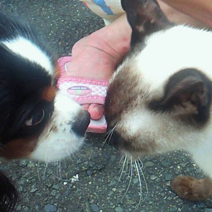 408aeecc 4b0c 432c 95c9 94bcde78a773