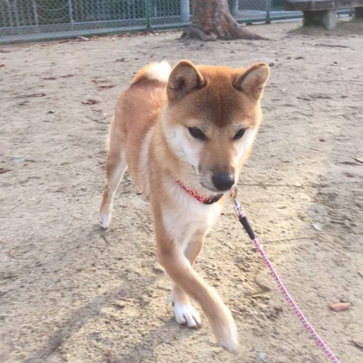 408afa1a 1afc 4d69 acdf e4da5c2a22bd