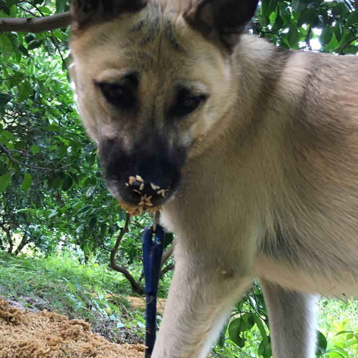 408b4925 b2e5 4fe0 af26 ab5cb56086c1