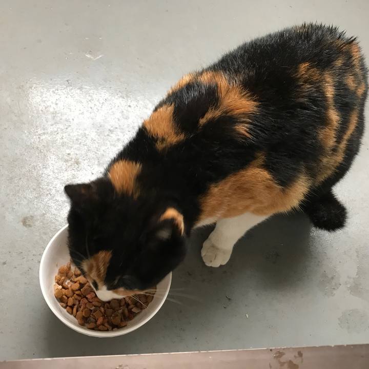 408bfce2 456f 4ae8 9f07 d217d1494da3