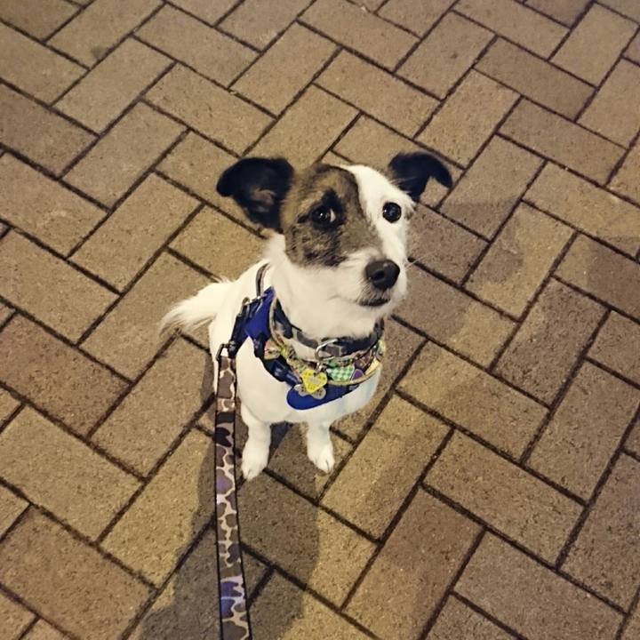 408c4d5d ed36 4641 b0ff bb96ac64c746