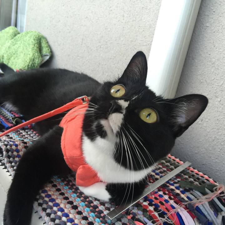 408d05d8 1fed 4319 826c 8973f0170ce8