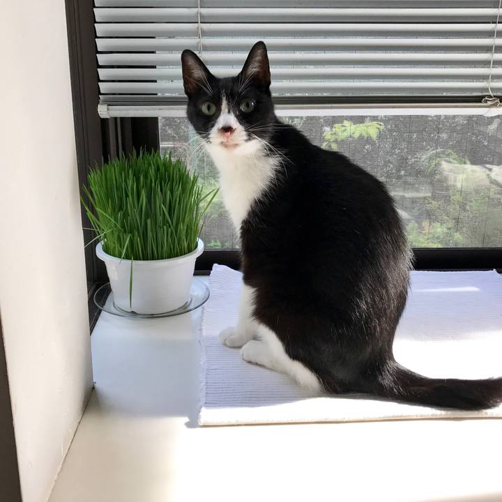 408d39ba 572e 4832 a1fe 62fe83c4079f