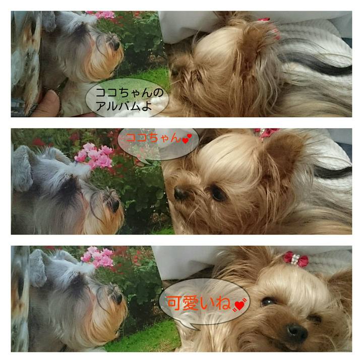 408dece3 e63e 425d aeec 6158bd123c88