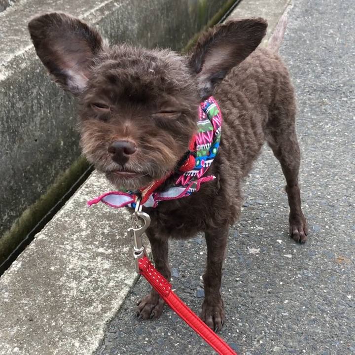 408e7fcb 1416 49f5 aea6 71f25f24f784