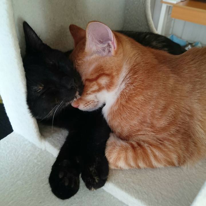 408faa74 9dc2 4b11 a388 a7b351e87006