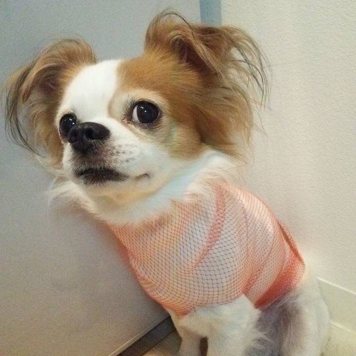 408fe2f5 bb4f 4df7 80ee 72086b191674