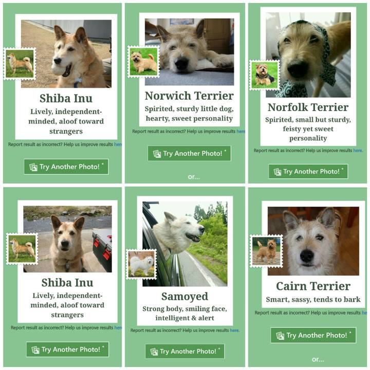 4090d001 c8cb 4553 92f8 7d549f3a8e0e