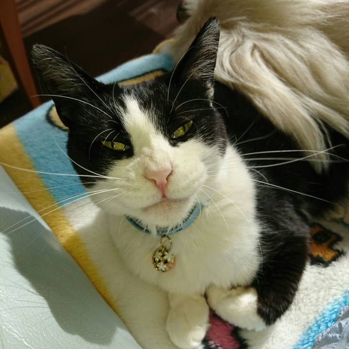 4092bdfe 89e6 4491 b210 2e9331fe43ba