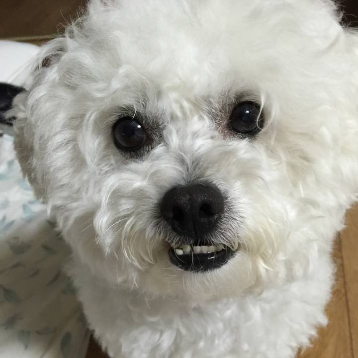 4093c850 e0d6 485e baf7 7d4076b57f03