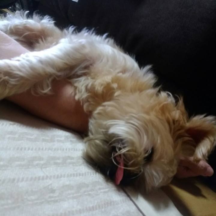 4093f265 d00d 4162 b52d 138f937bf9f4