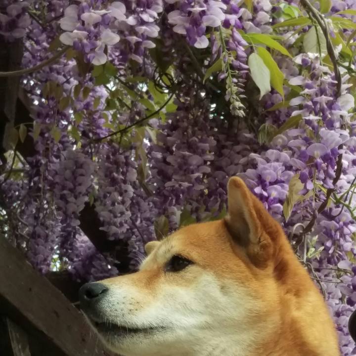 409464a8 6355 44e0 8430 f8f842dddf34