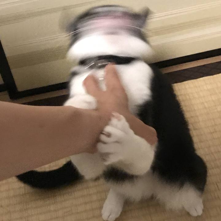 4095785c 22b7 4f7f 9c33 39beffe4646e