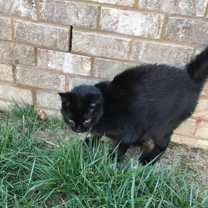 4095f54d c474 4139 b558 36f9c8f68257