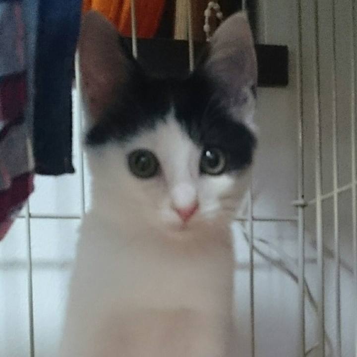 4096334d 083b 4112 b393 a7c3a2ed2f05