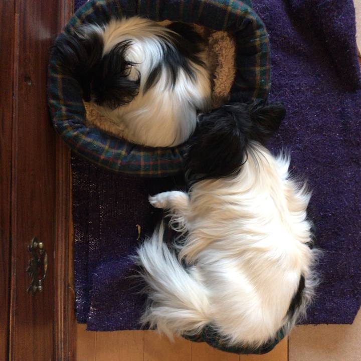 40963ce8 51a5 4d77 91ce 2f46ff5a98d5