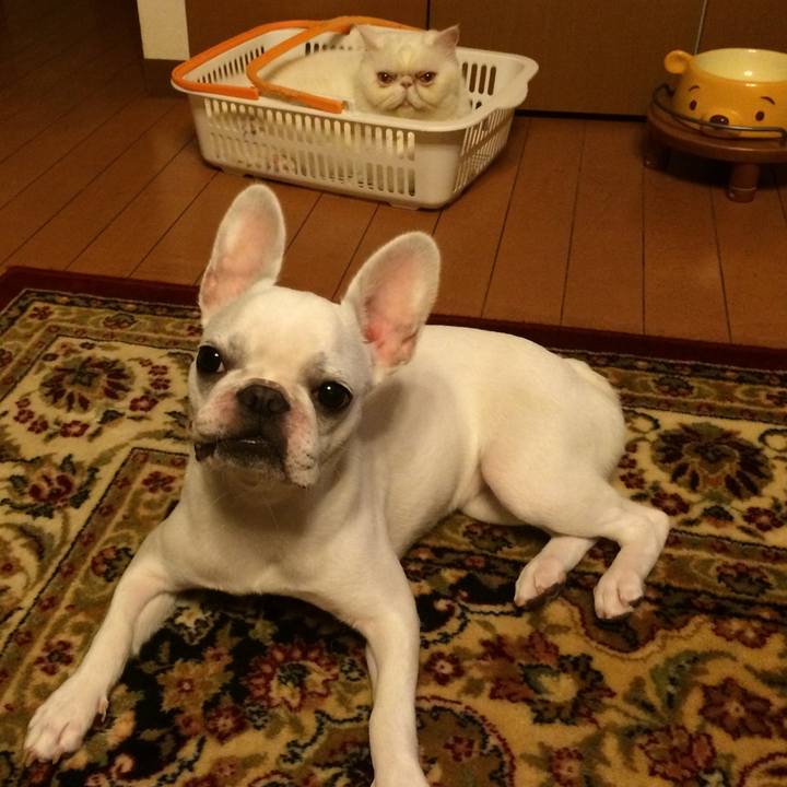 40969381 9cbe 4add 8cd2 87c7463e38d5