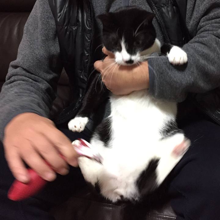 4096ac55 3118 495f 8d2c e5865bab5bc9