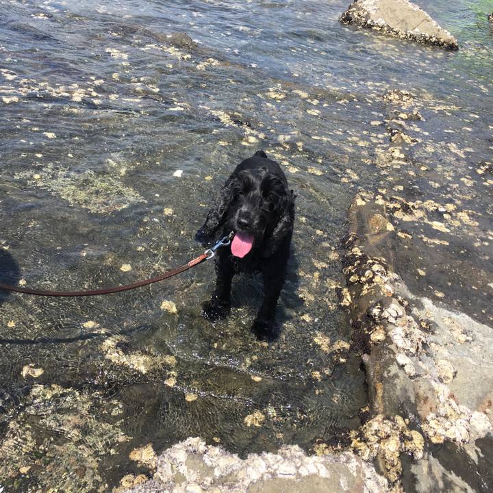 4096bb79 fa0f 4543 be79 74a5f145fe9c