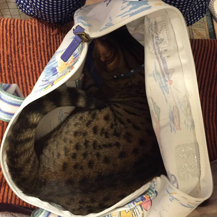 4097009b c01f 42ee 9399 93c31cf921d6