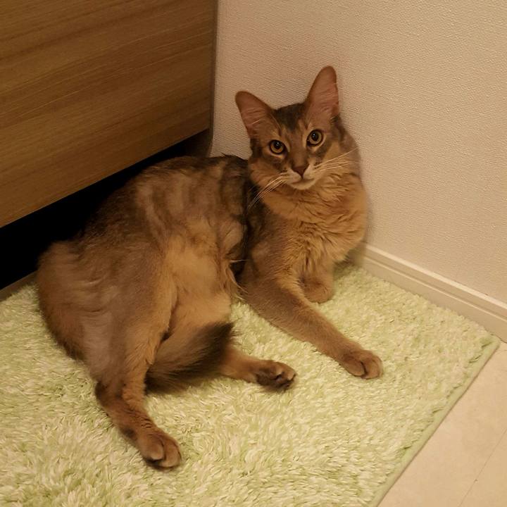 40970191 f018 4bc9 a578 3e418ebc2ef9