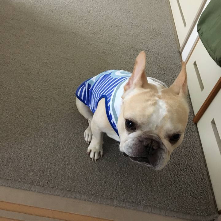 40971d32 909b 4329 bfc2 05b6e181c2a4