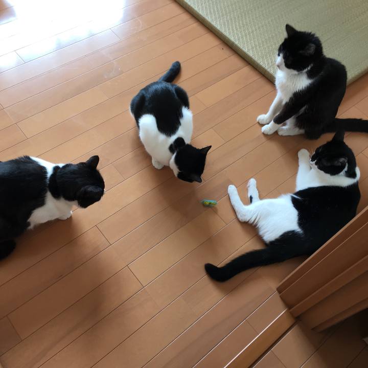 40978242 8df3 468c abe4 0f14708e067d