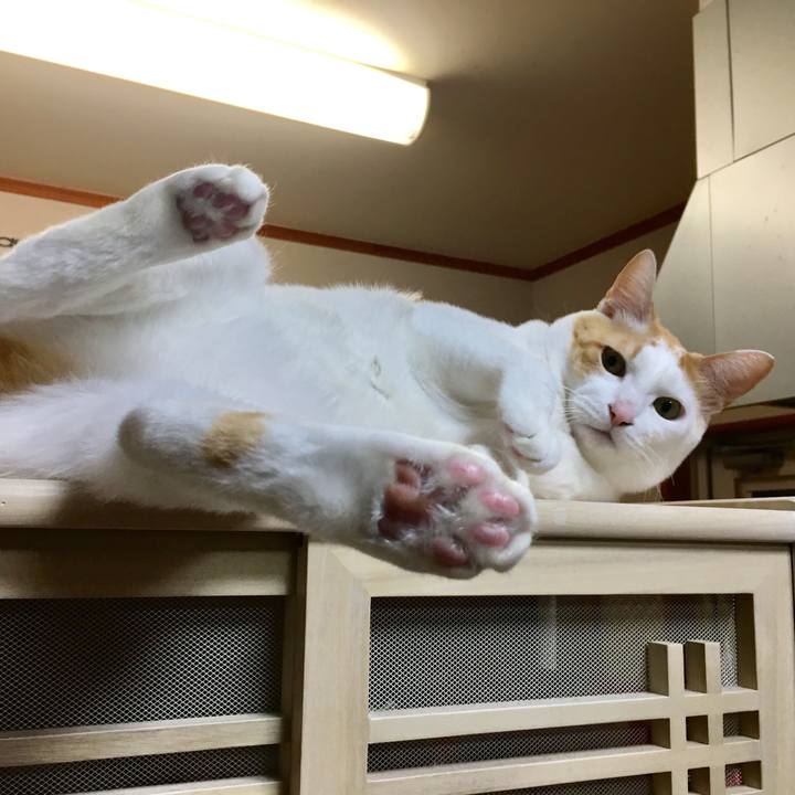 40979149 e17f 410a 94aa 81e921f513c1