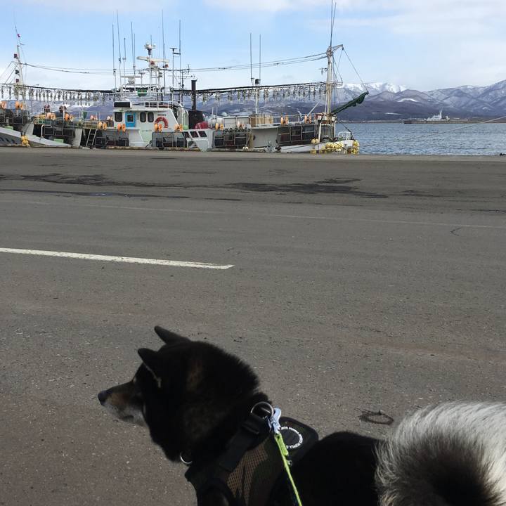 4097e40c 51c2 4700 96f4 01d115cae83e