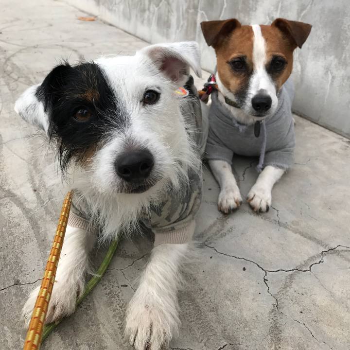 409806aa 891e 4f09 b3e5 d0fd42e74066