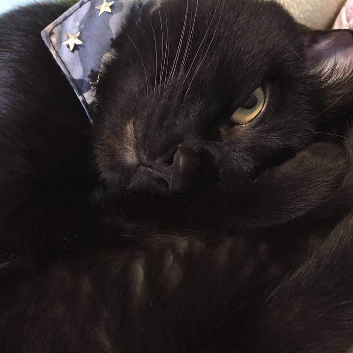 40981516 29a3 4887 9d3c 124314e00db3