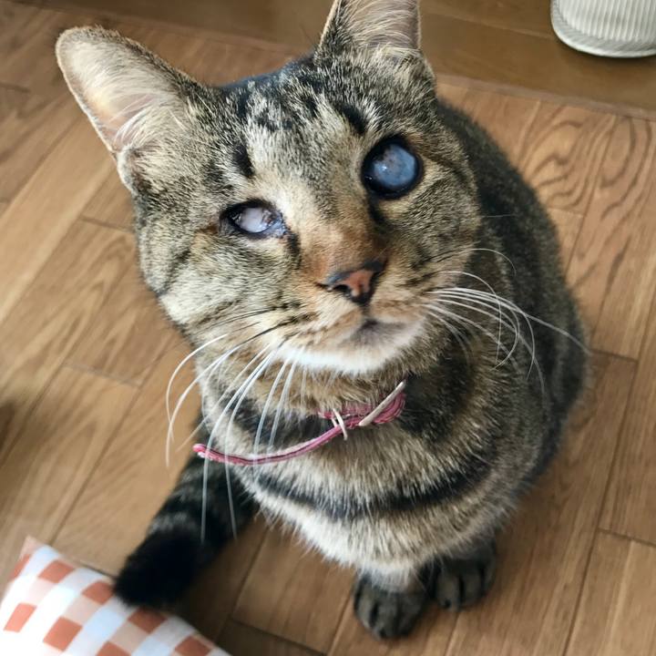 40984e48 9d79 4e7d 8249 73ebe20aae17