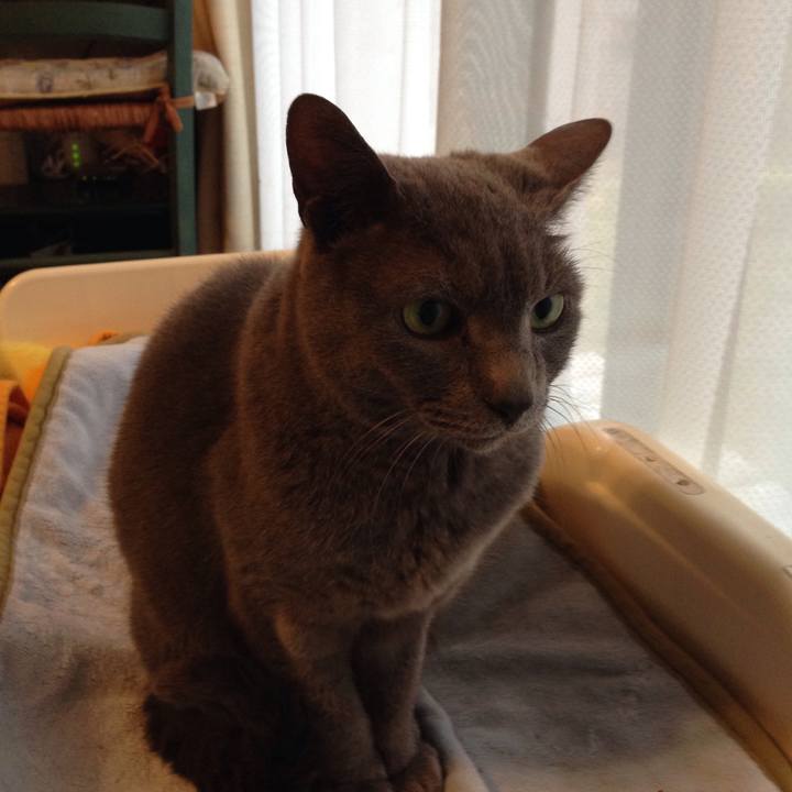 40985fe1 be79 43d6 a076 81ec3d3d1aa5