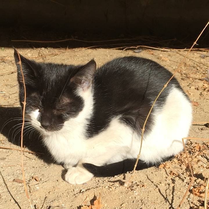 409894d8 8c99 4255 8344 4525113577da