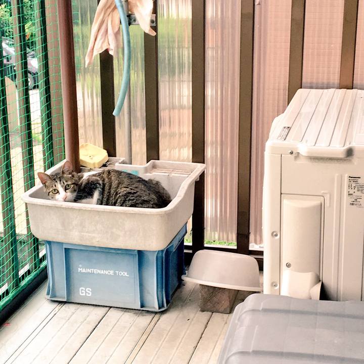 40992d67 2431 41c3 b3ab 5f3305febd63