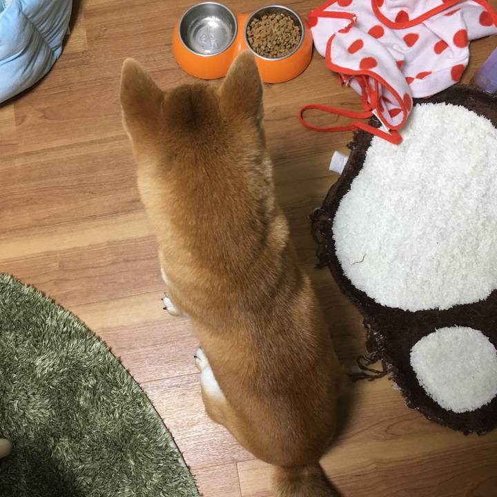 40994029 032c 4b9d a9e4 e895f8a339f8