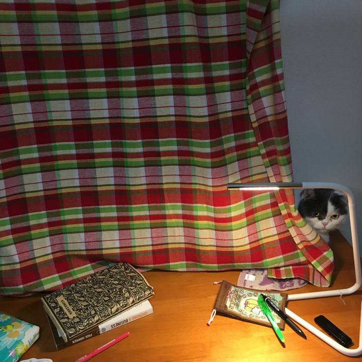 4099b34c 5a31 4967 ae6b a3bf6799a040