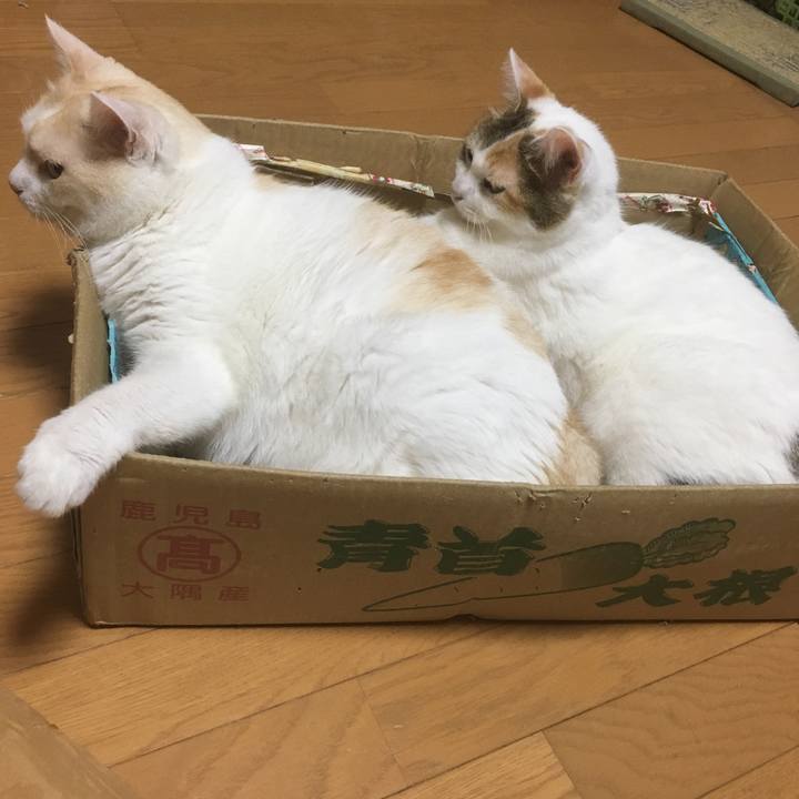 409a2f55 2891 4e11 8ae1 8f1cf7153511