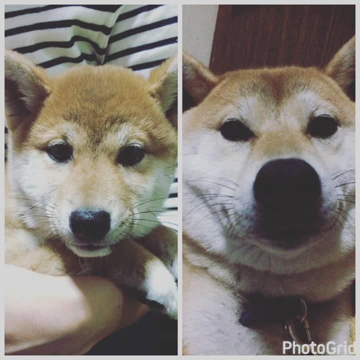 409ae8e8 29b5 483c 990b 7d2c28375107