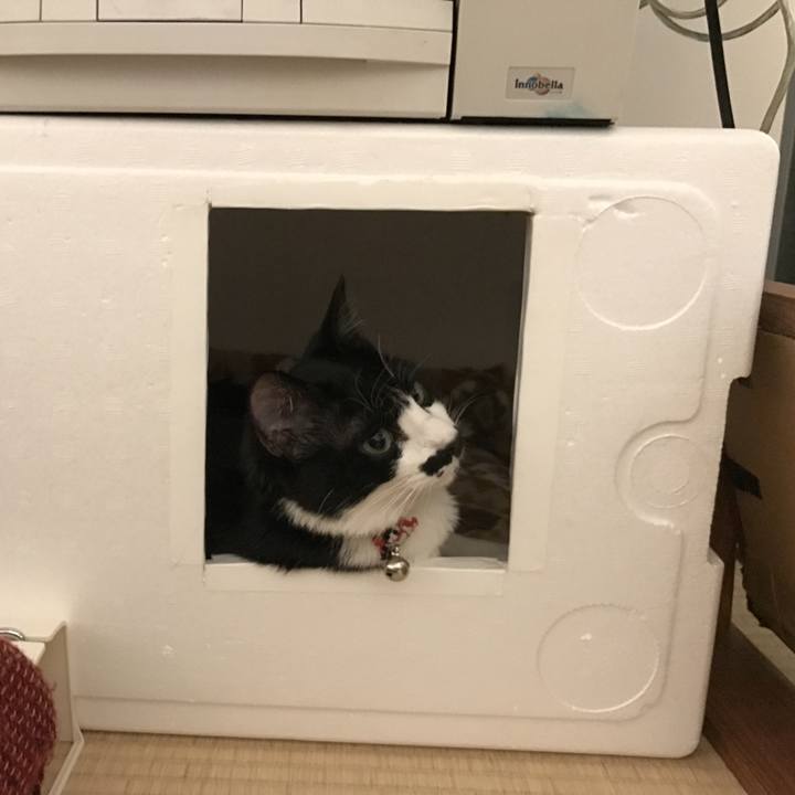 409b31d8 d709 434f 9222 46d44e14eb45