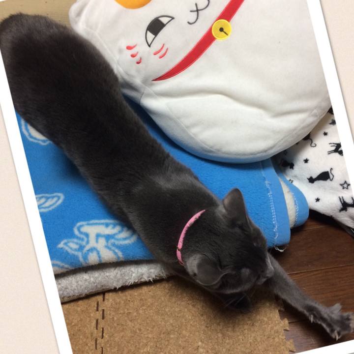 409b4fc2 4f50 46d9 992a 4cd25b26450a