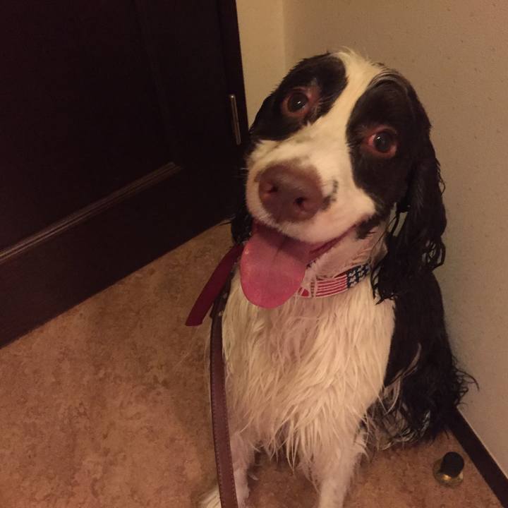 409b88e5 f1da 4271 be61 de226d21f11e